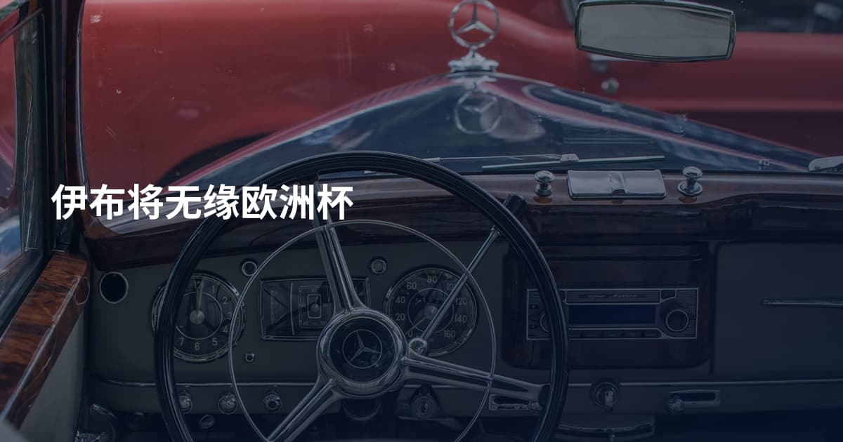 伊布将无缘欧洲杯