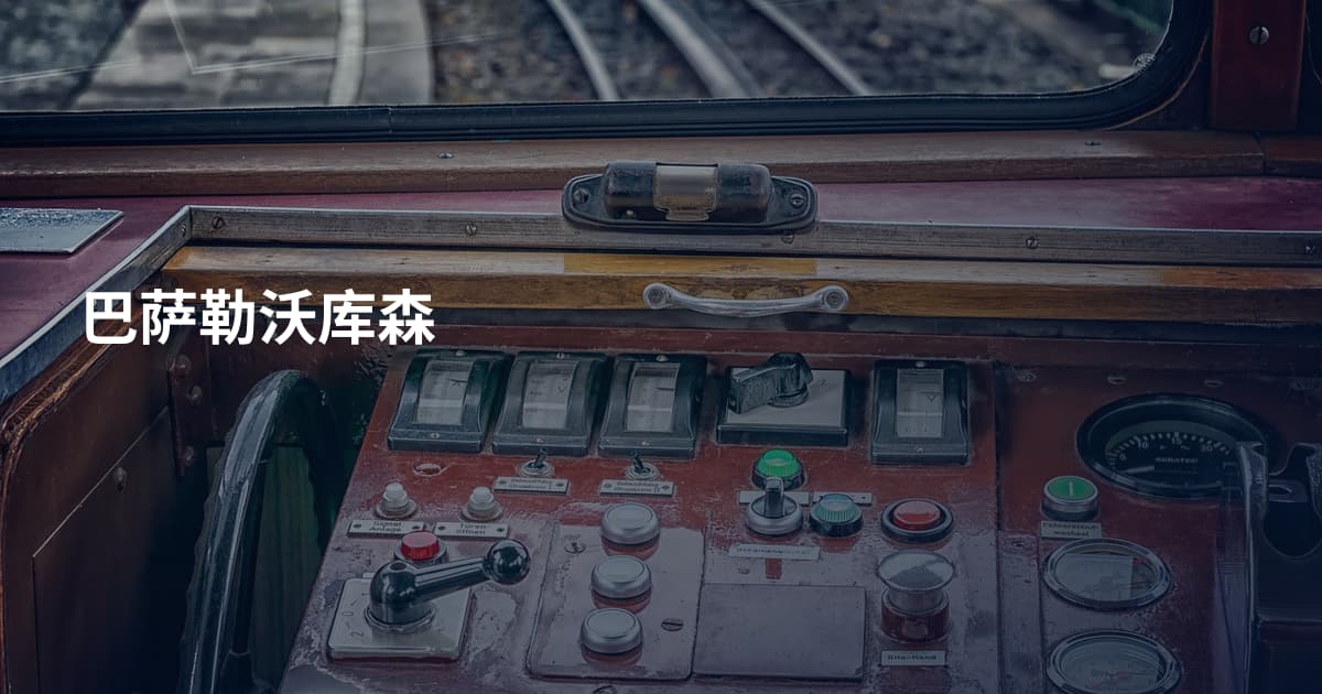 巴萨勒沃库森