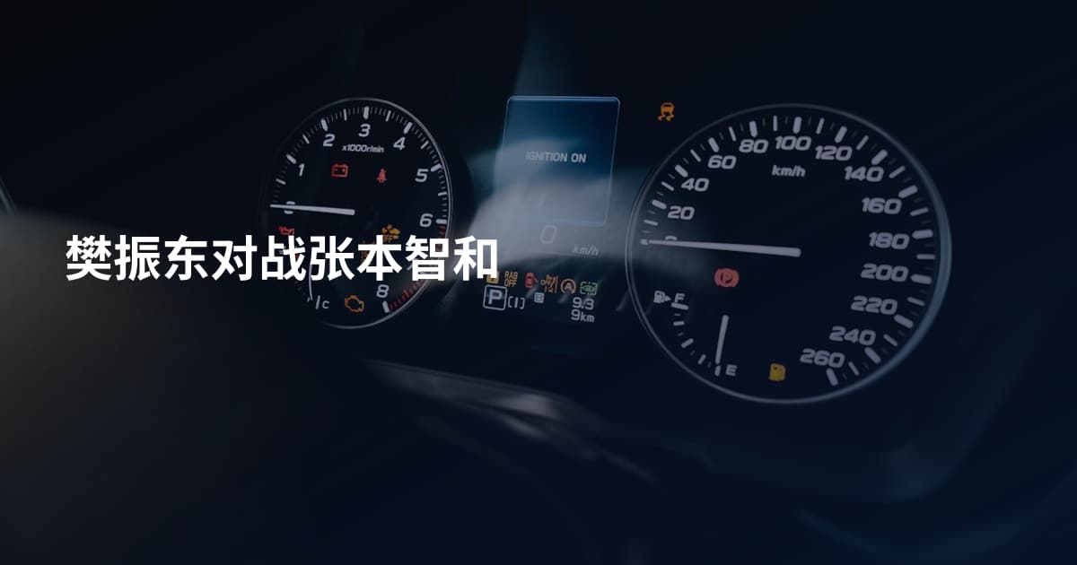樊振东对战张本智和