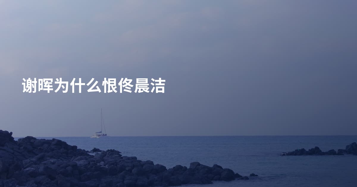 谢晖为什么恨佟晨洁