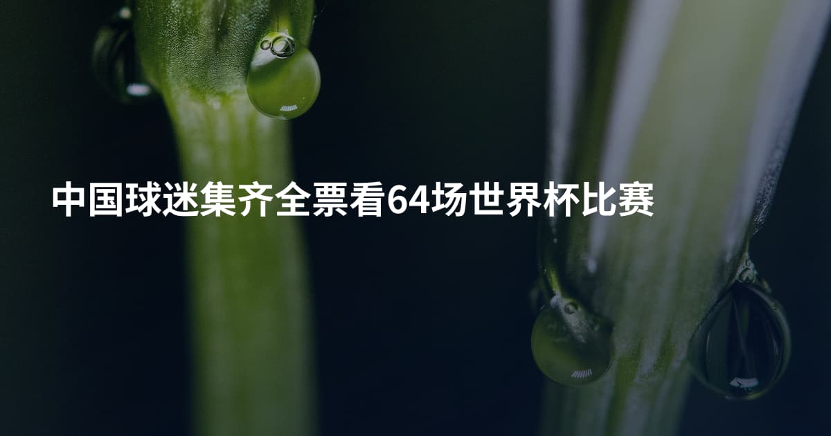 中国球迷集齐全票看64场世界杯比赛