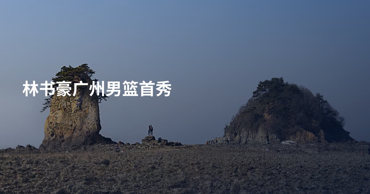 林书豪广州男篮首秀