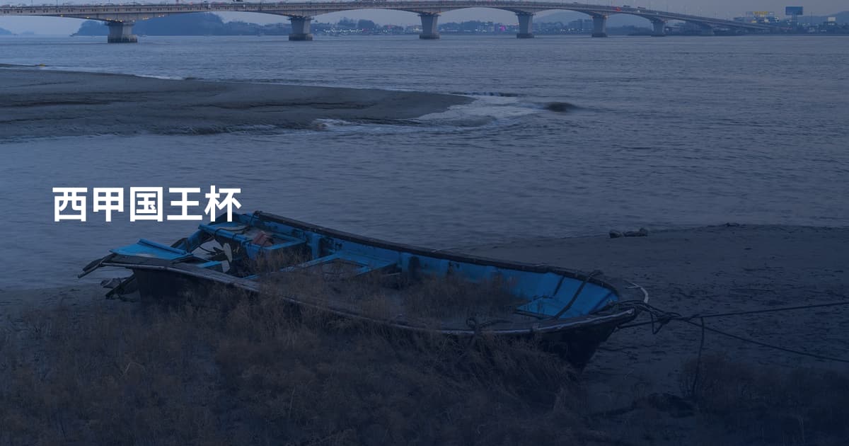 西甲国王杯