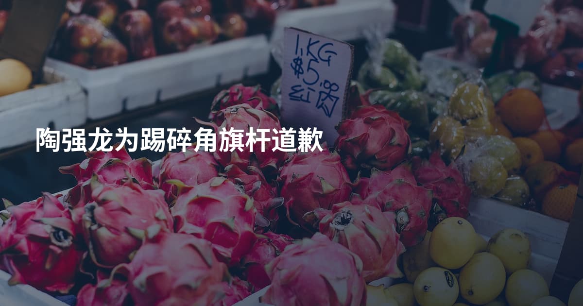 陶强龙为踢碎角旗杆道歉