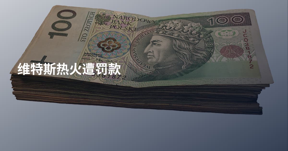 维特斯热火遭罚款