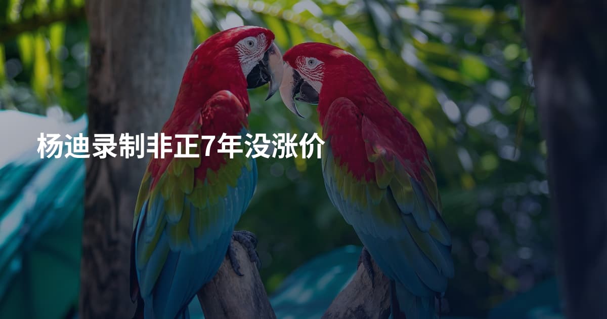 杨迪录制非正7年没涨价
