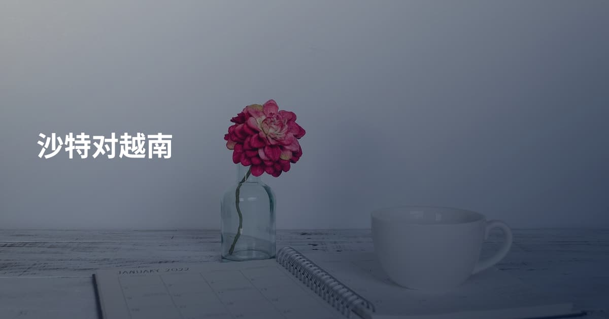 沙特对越南