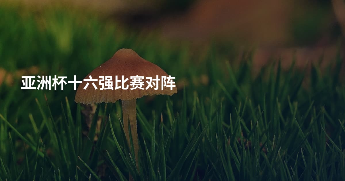 亚洲杯十六强比赛对阵