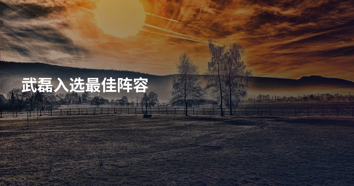 武磊入选最佳阵容