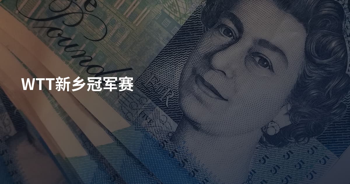 WTT新乡冠军赛
