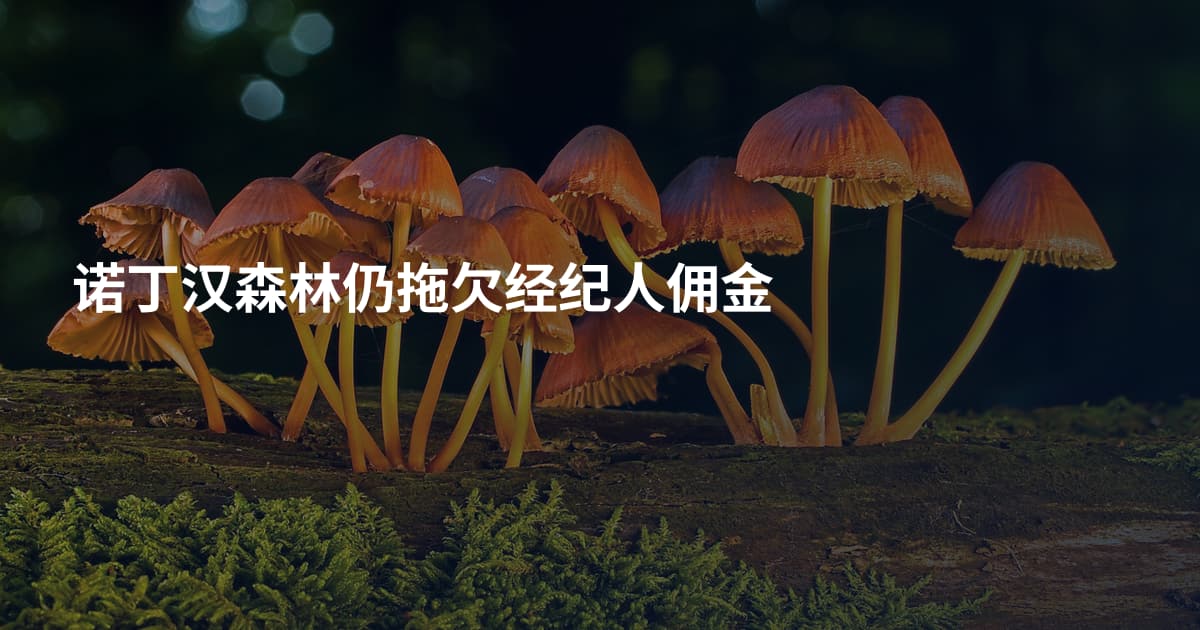 诺丁汉森林仍拖欠经纪人佣金