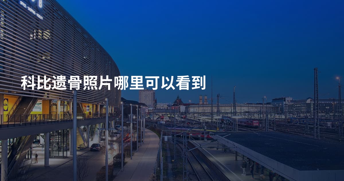科比遗骨照片哪里可以看到