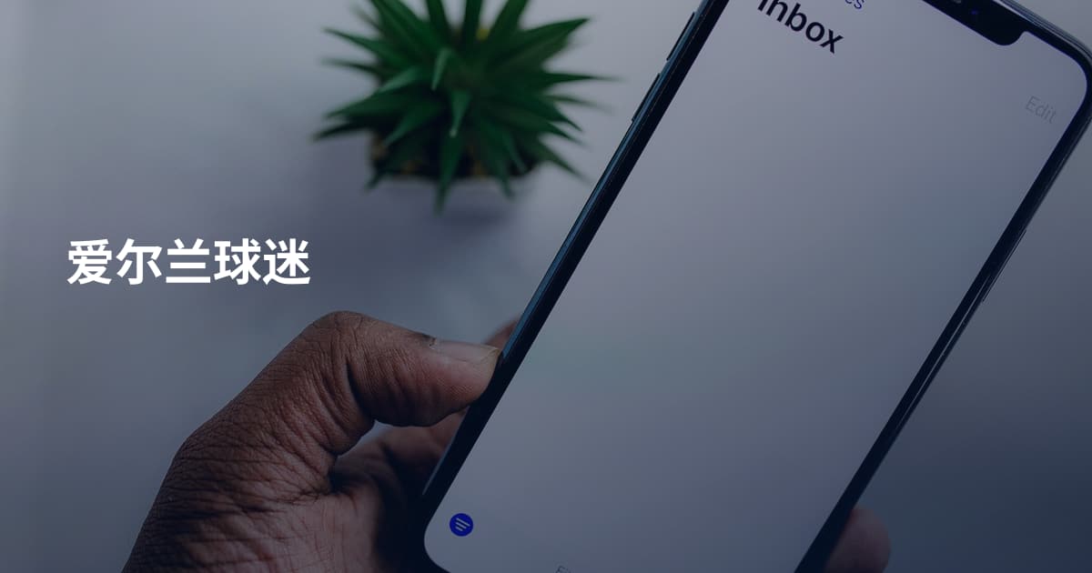 爱尔兰球迷