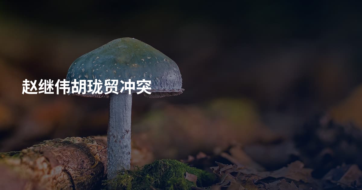赵继伟胡珑贸冲突