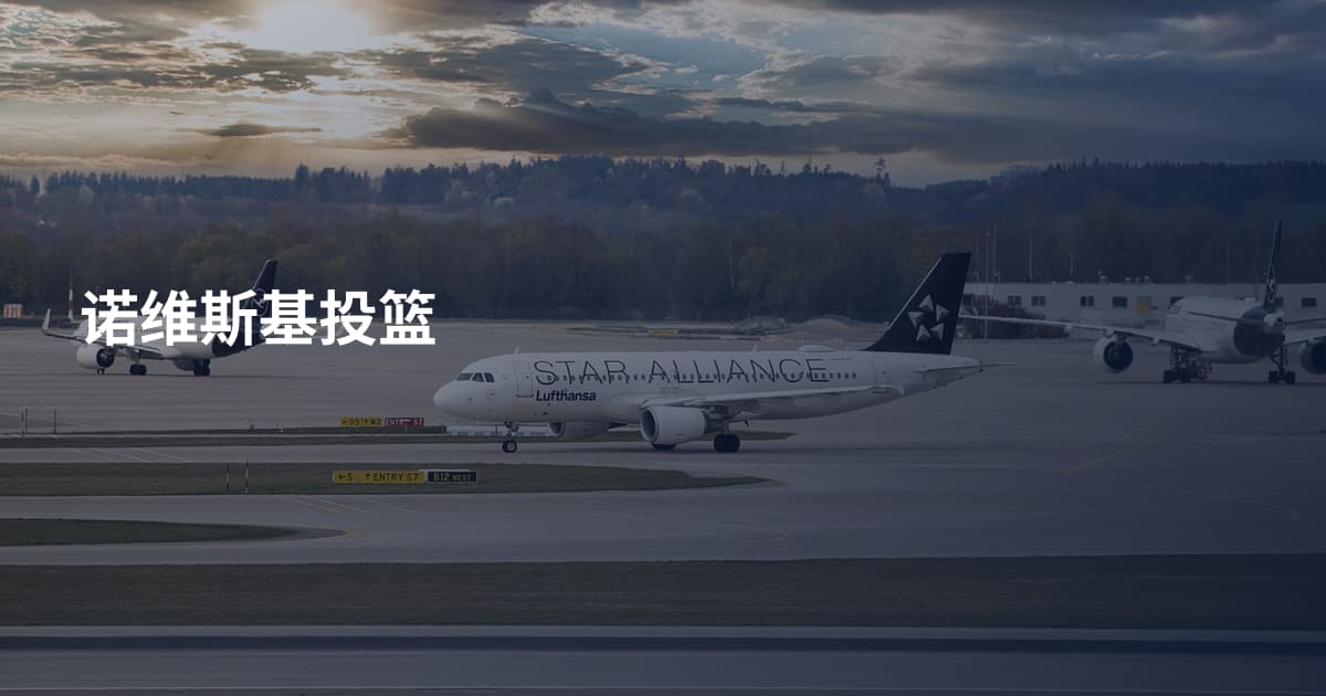 诺维斯基投篮