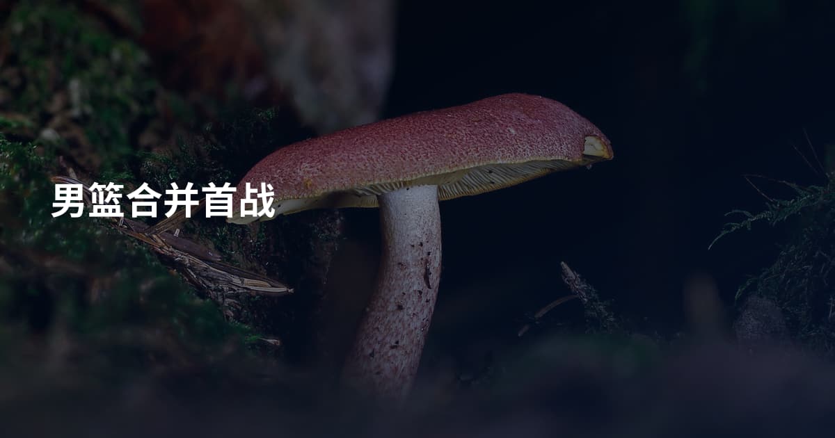 男篮合并首战