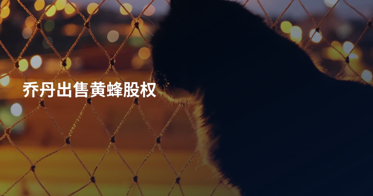 乔丹出售黄蜂股权