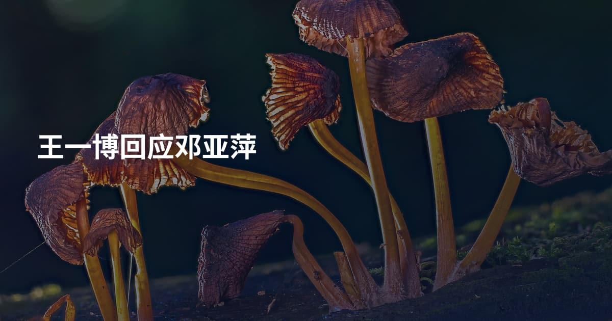 王一博回应邓亚萍