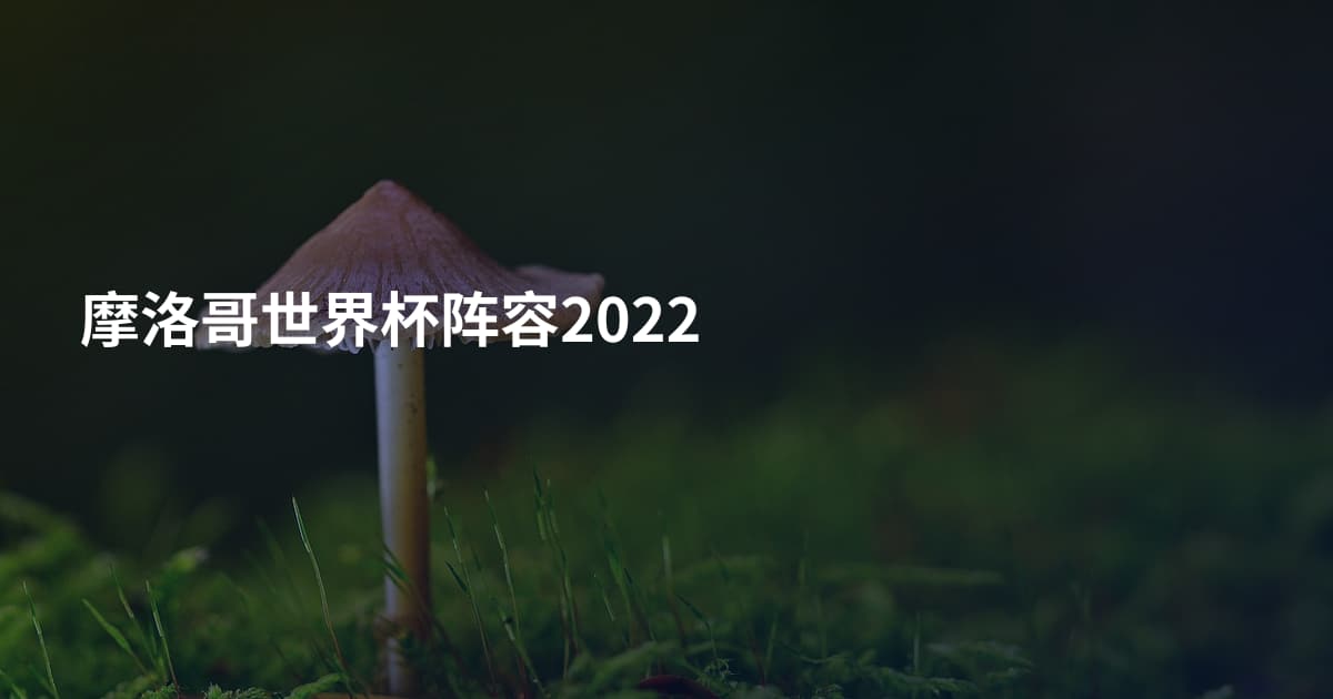 摩洛哥世界杯阵容2022