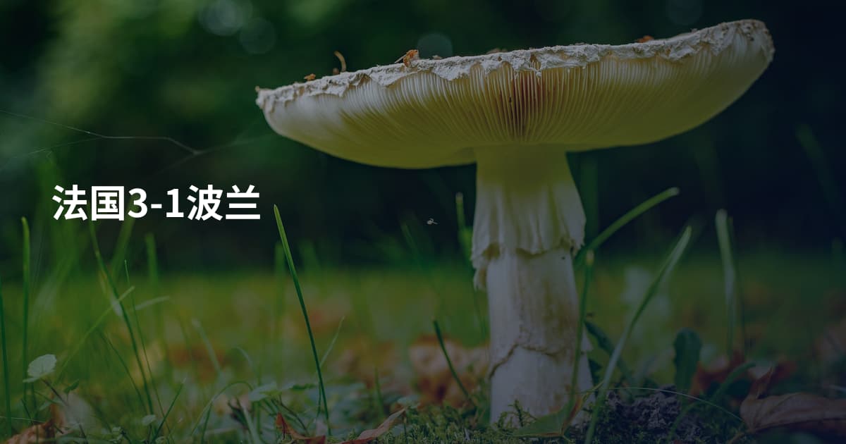 法国3-1波兰