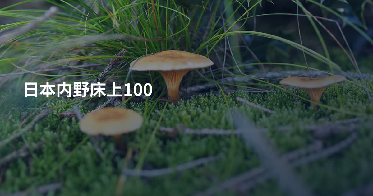 日本内野床上100