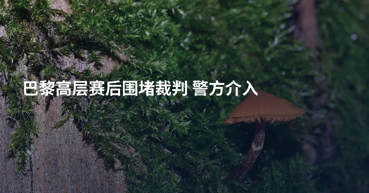 巴黎高层赛后围堵裁判 警方介入