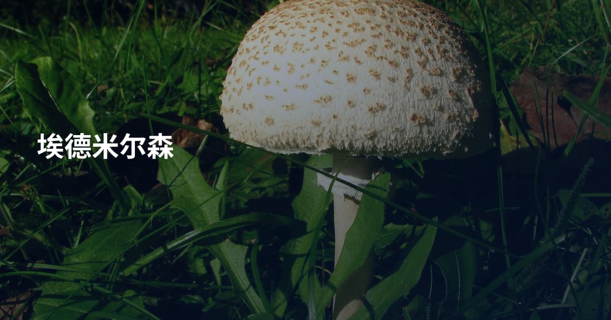 埃德米尔森