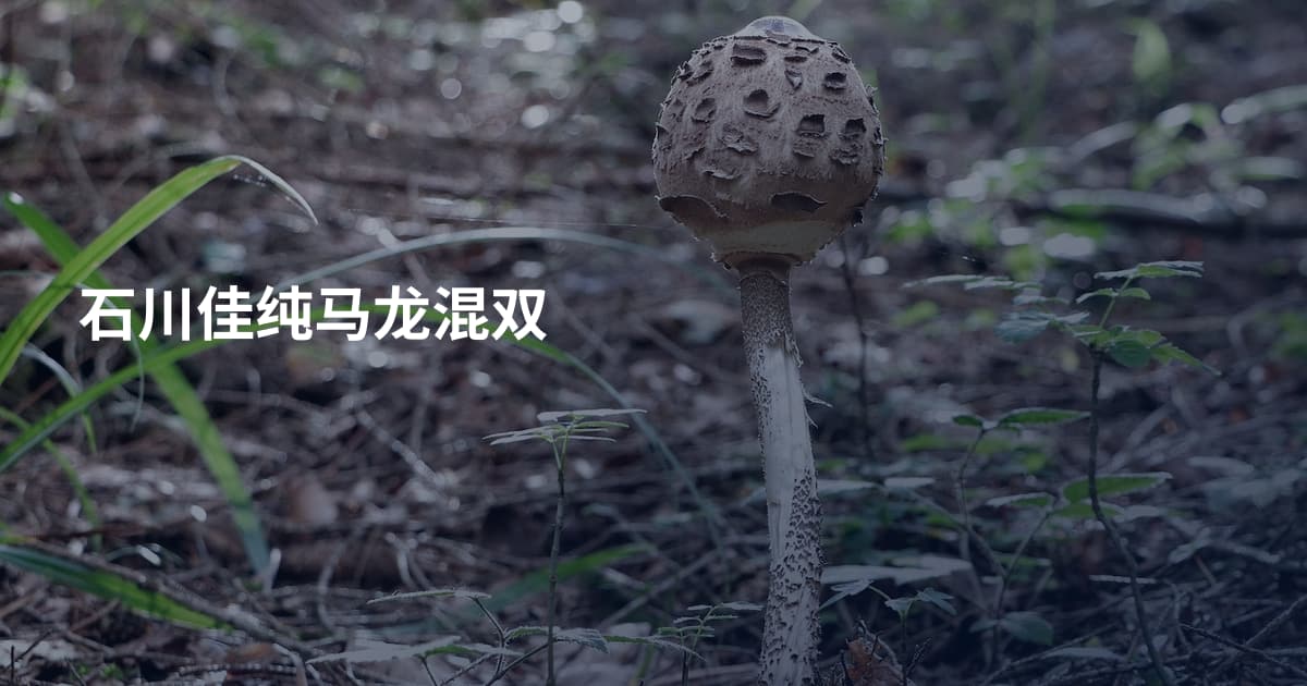 石川佳纯马龙混双