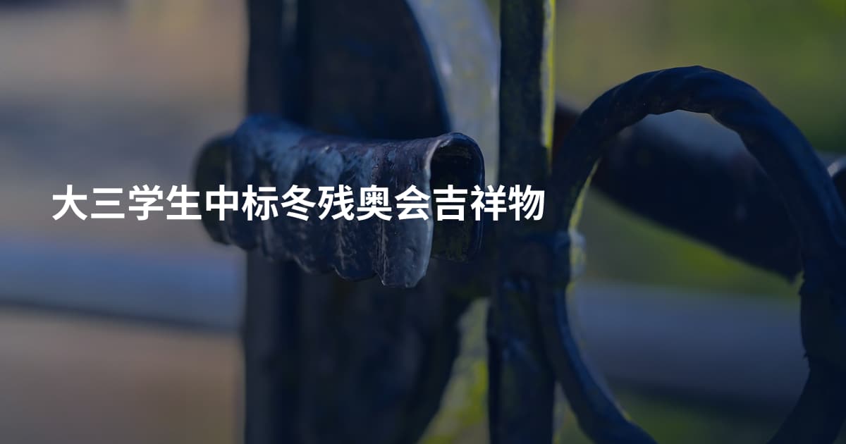 大三学生中标冬残奥会吉祥物