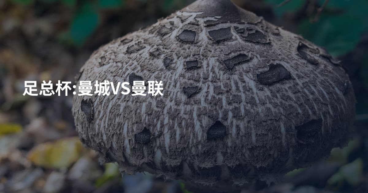 足总杯:曼城VS曼联