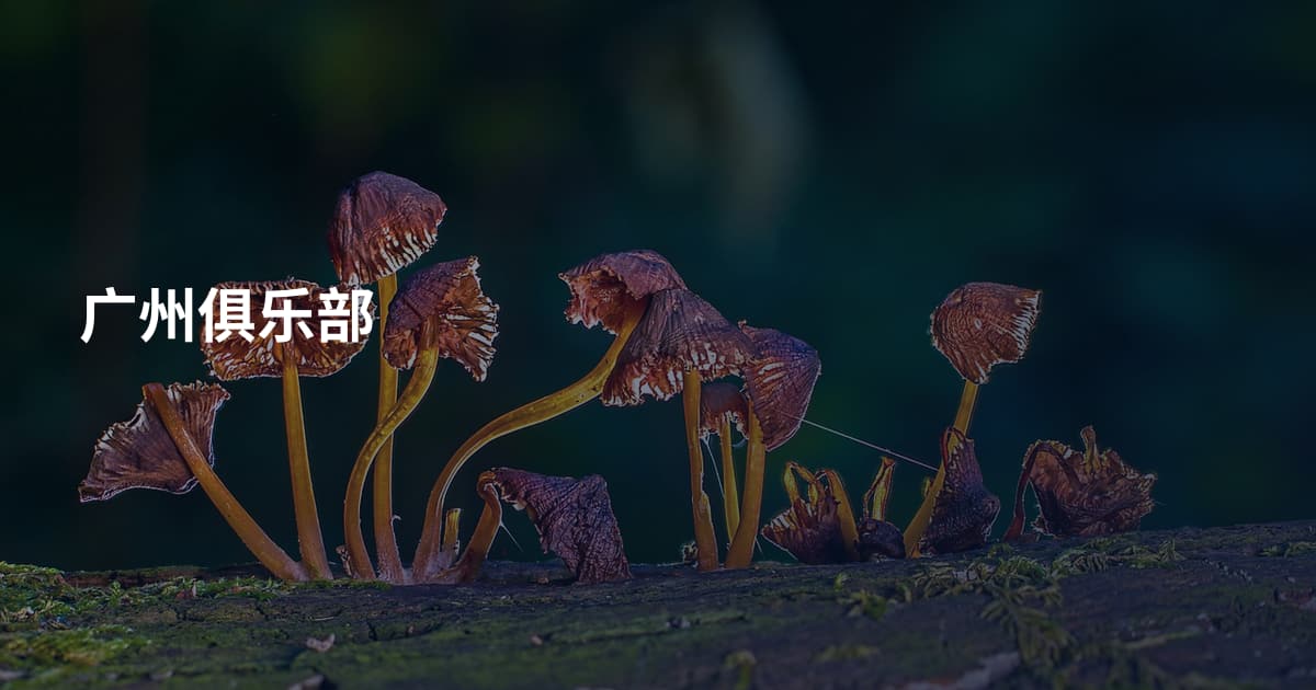 广州俱乐部