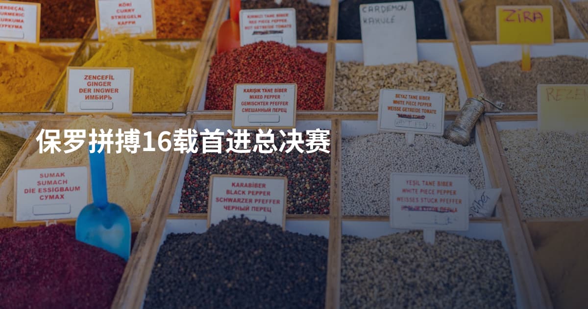 保罗拼搏16载首进总决赛