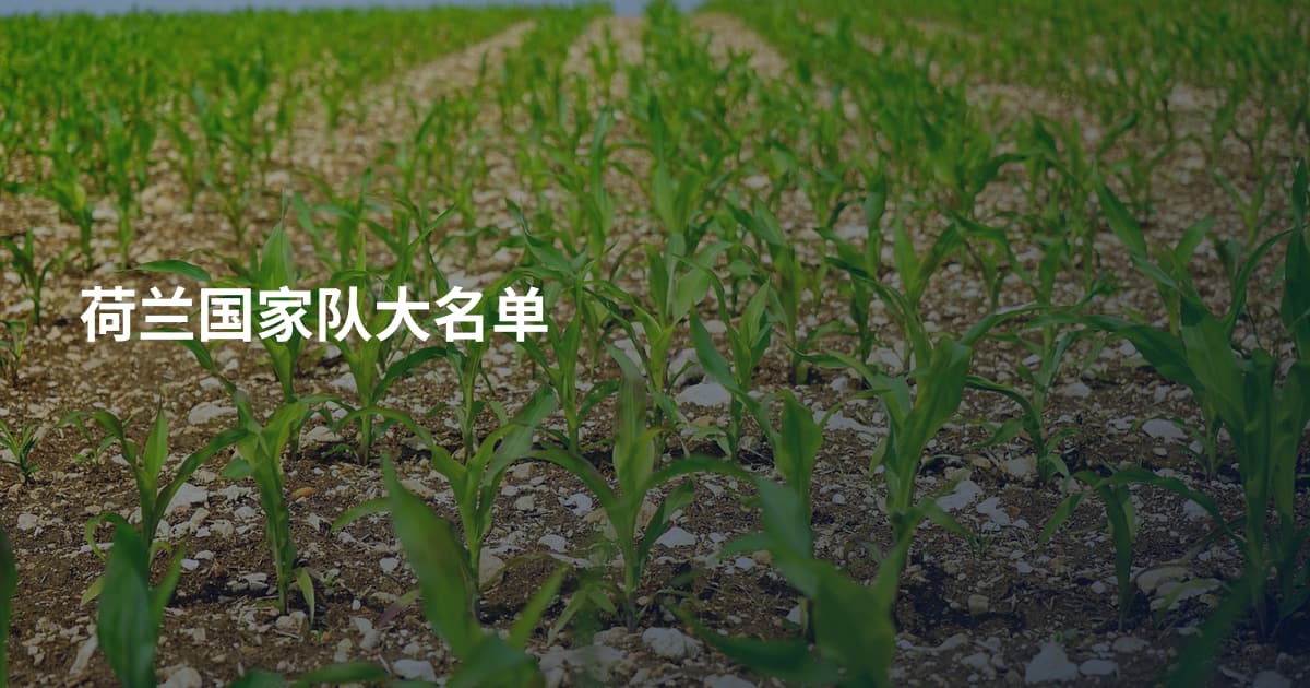 荷兰国家队大名单