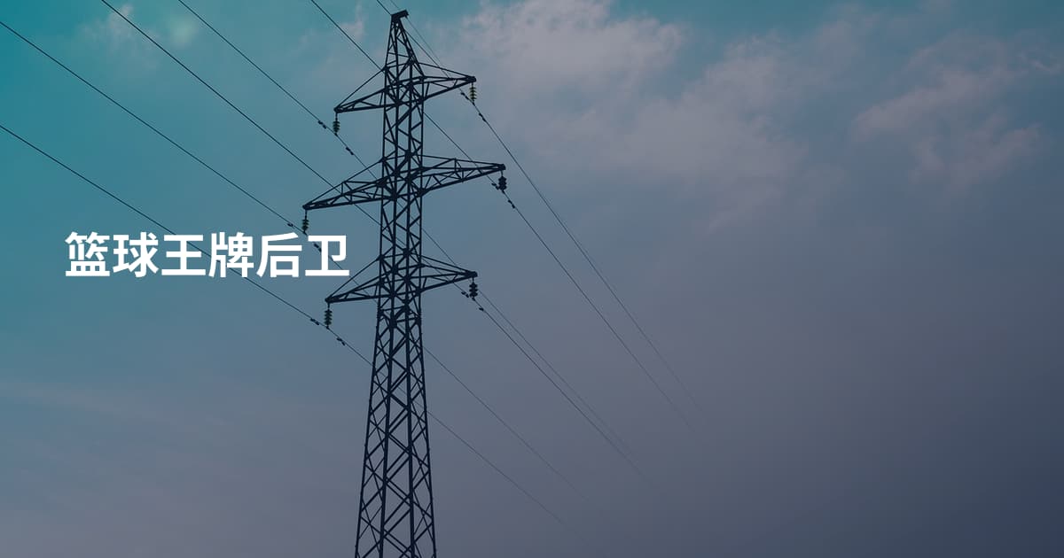 篮球王牌后卫