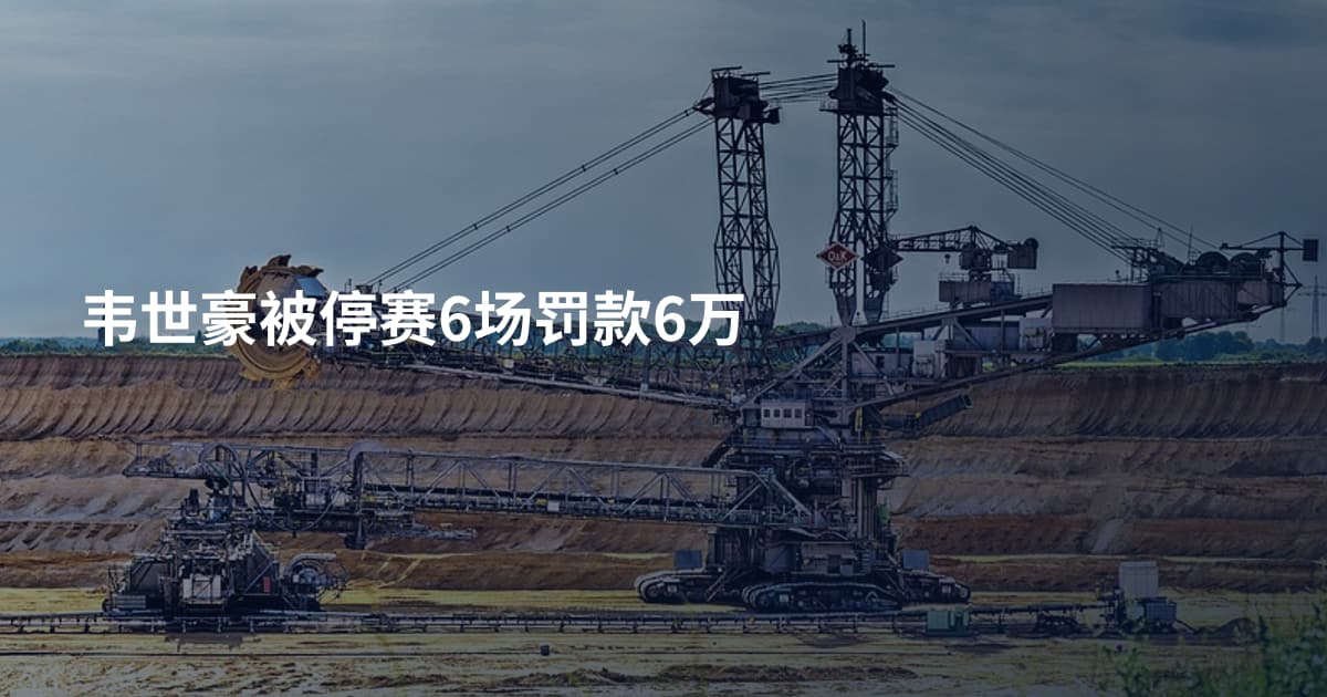 韦世豪被停赛6场罚款6万