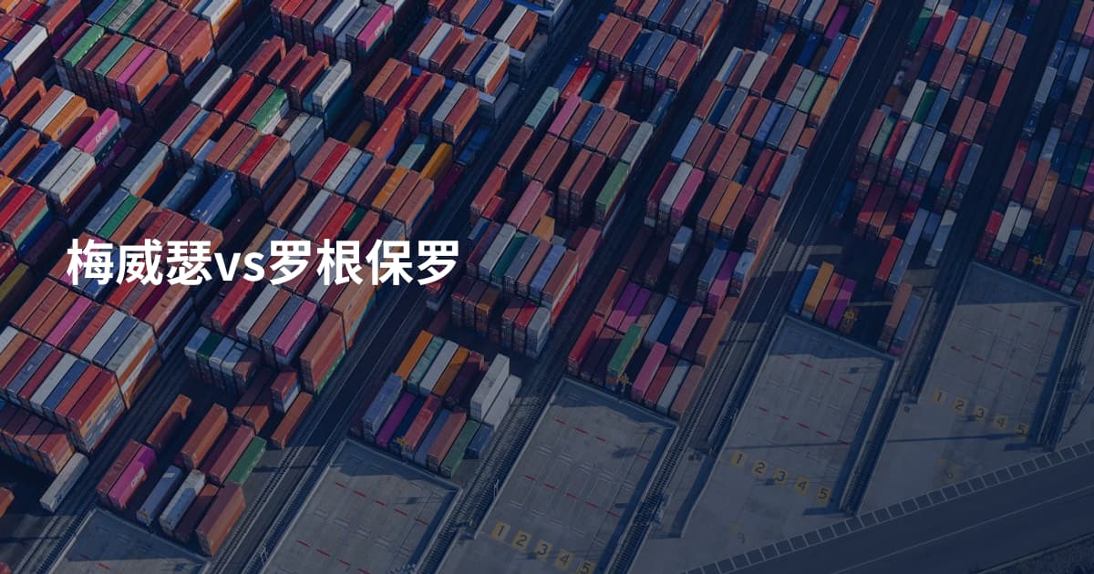 梅威瑟vs罗根保罗
