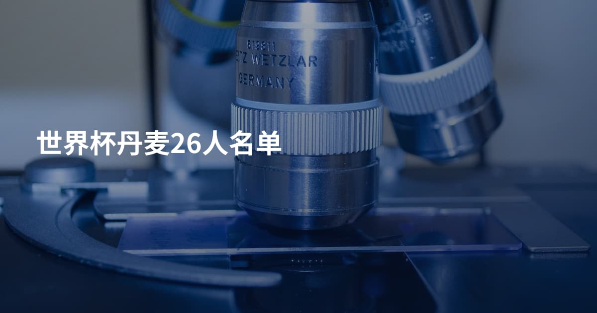 世界杯丹麦26人名单