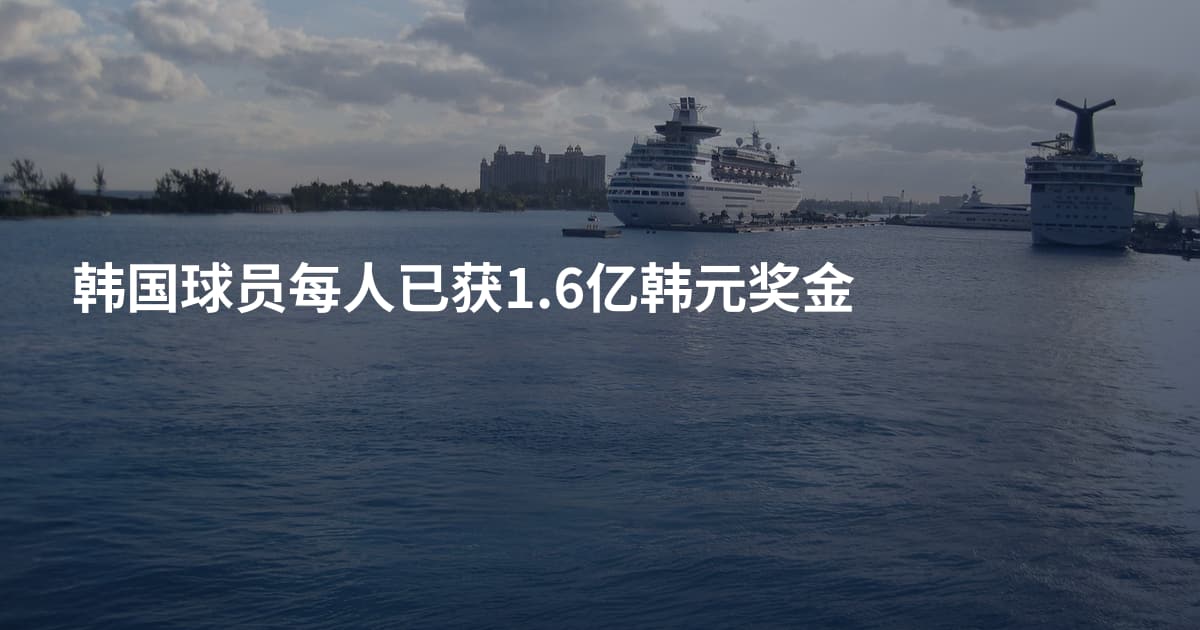 韩国球员每人已获1.6亿韩元奖金