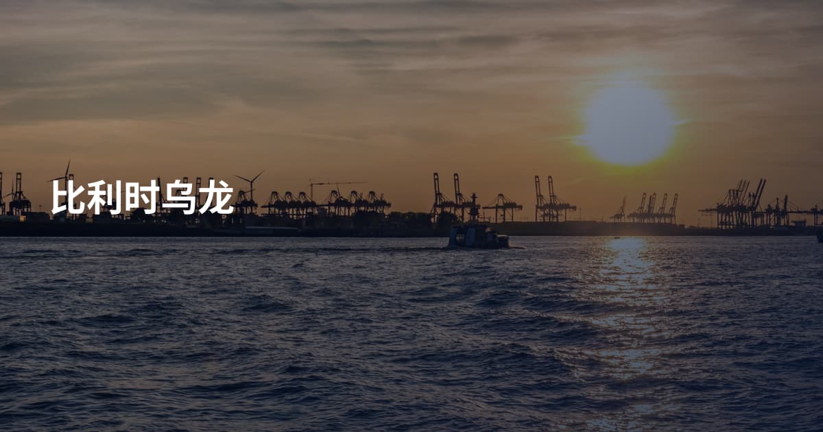 比利时乌龙