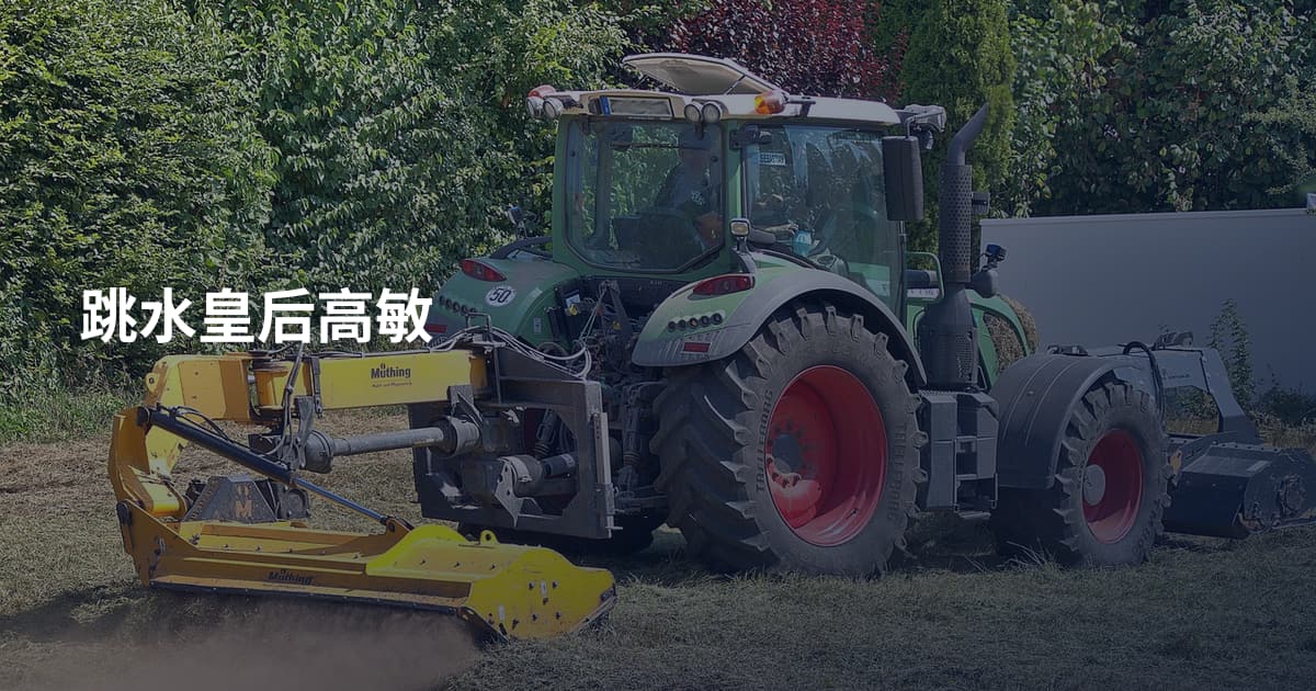 跳水皇后高敏