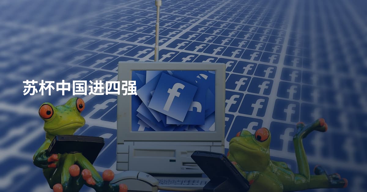 苏杯中国进四强