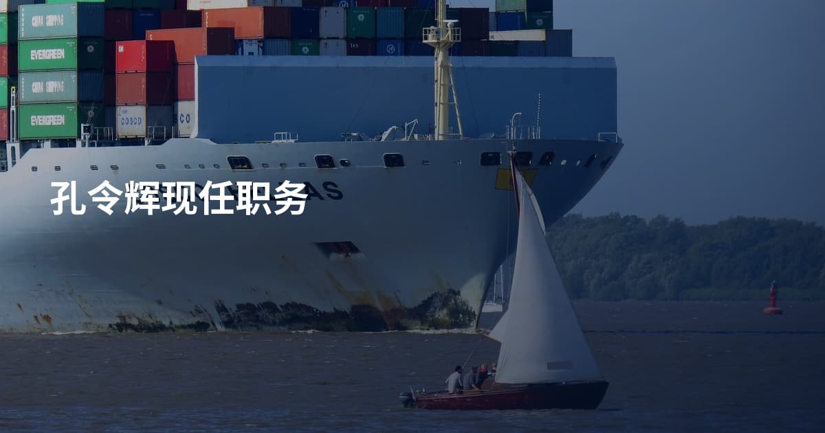 孔令辉现任职务