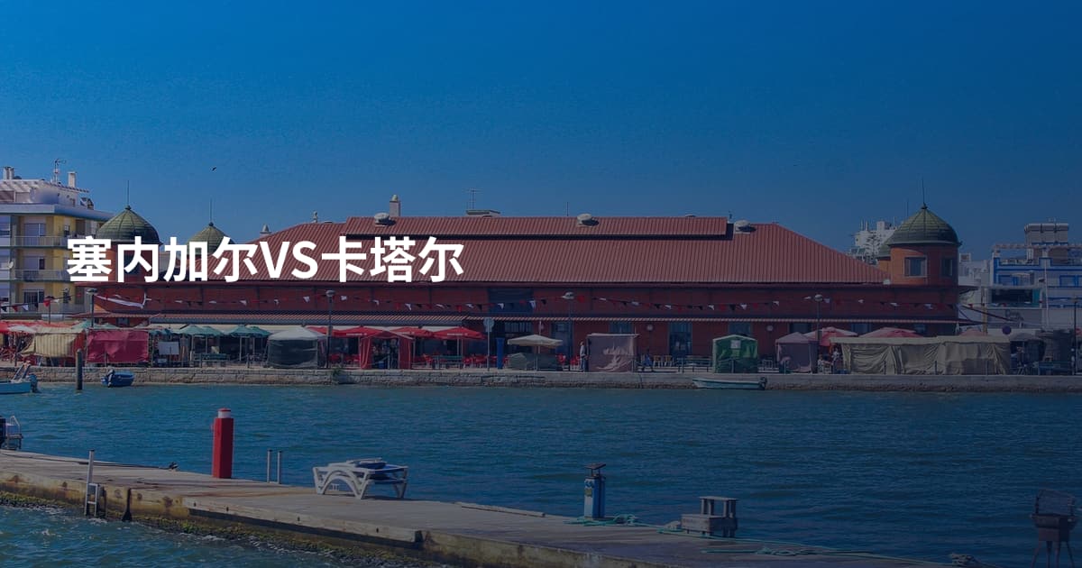 塞内加尔VS卡塔尔