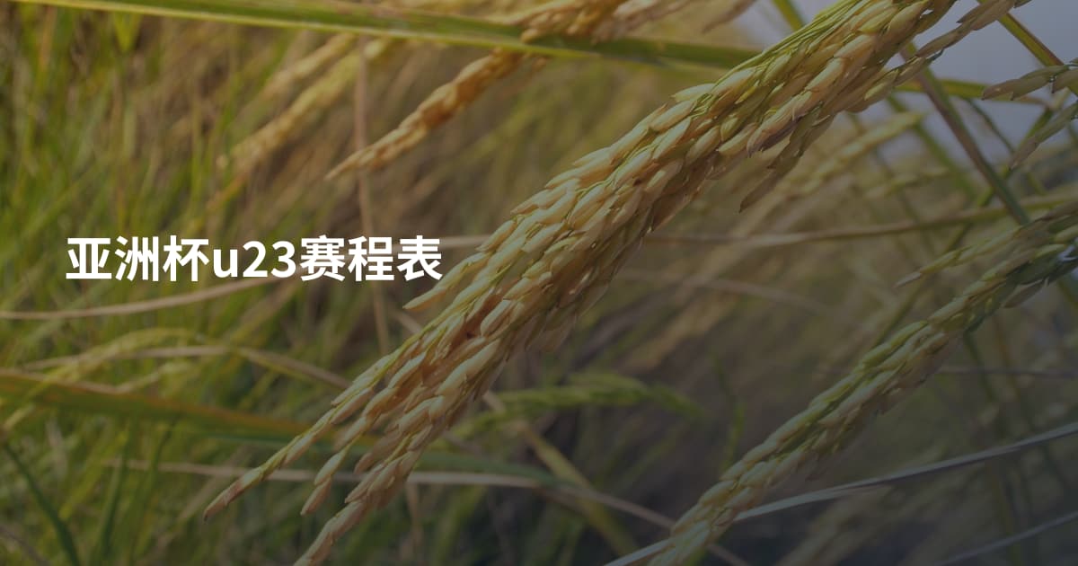 亚洲杯u23赛程表