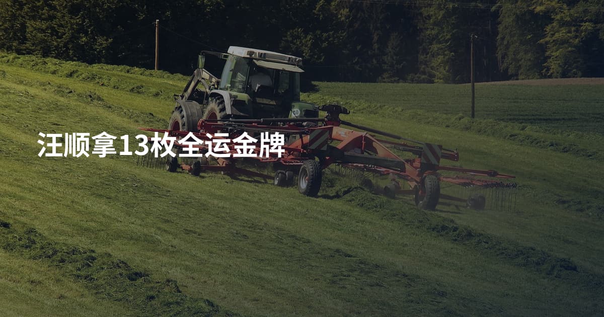 汪顺拿13枚全运金牌