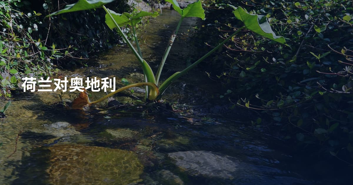 荷兰对奥地利