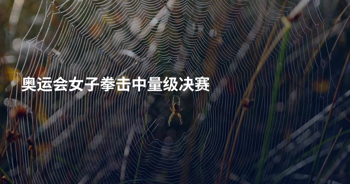 奥运会女子拳击中量级决赛