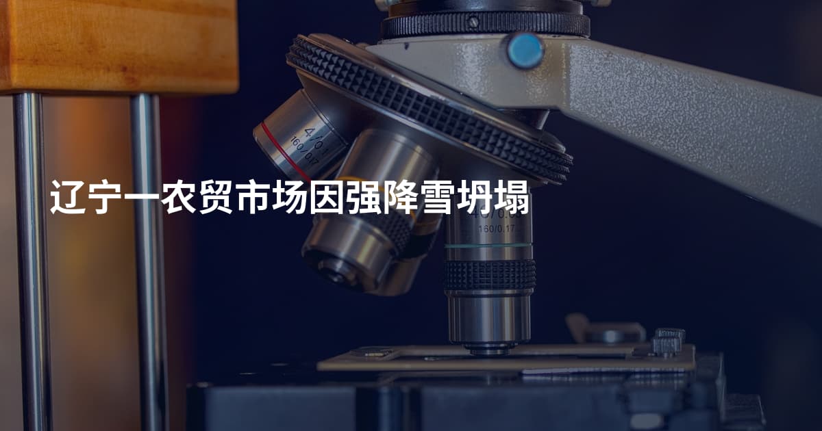辽宁一农贸市场因强降雪坍塌
