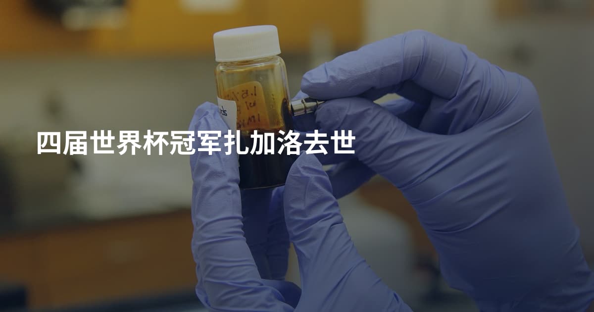 四届世界杯冠军扎加洛去世