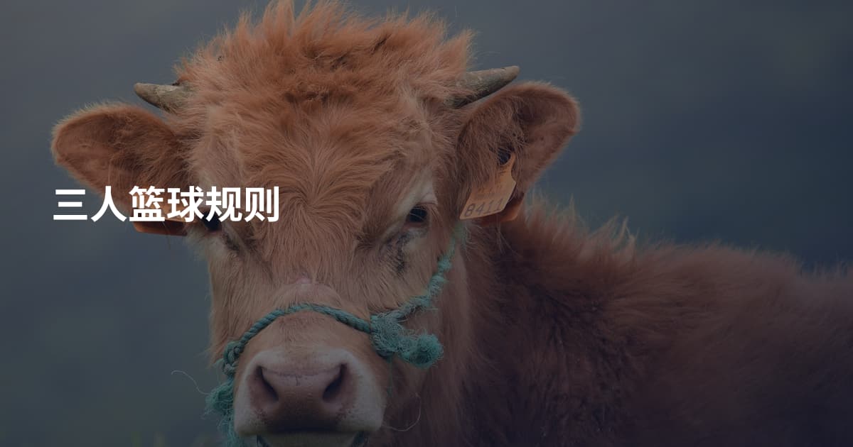 三人篮球规则